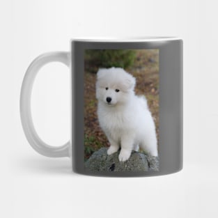 Cute samoyed dog puppy in the forest Mug